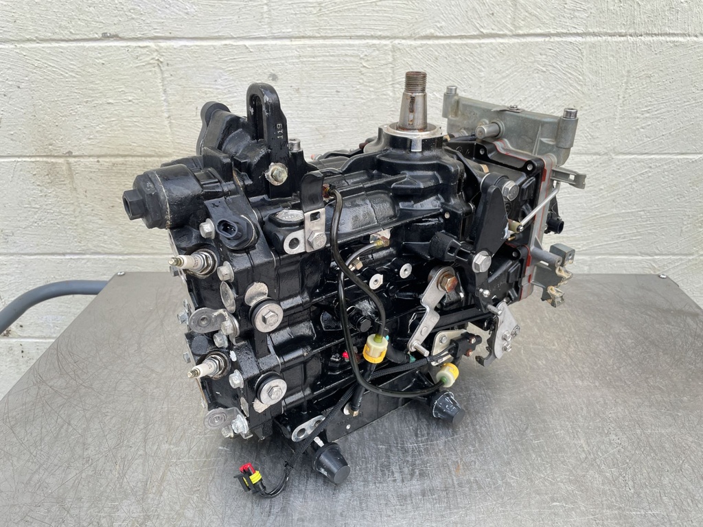 2012 Evinrude 50 HP 2 Stroke Outboard Powerhead 5007396 OEM