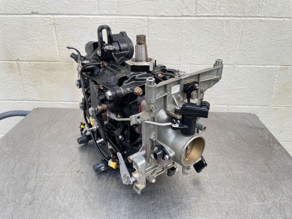 2012 Evinrude 50 HP 2 Stroke Outboard Powerhead 5007396 OEM