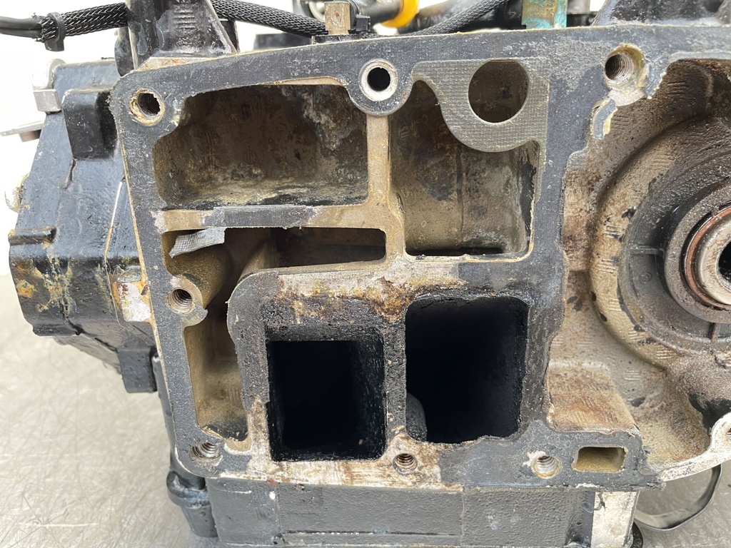 2012 Evinrude 50 HP 2 Stroke Outboard Powerhead 5007396 OEM