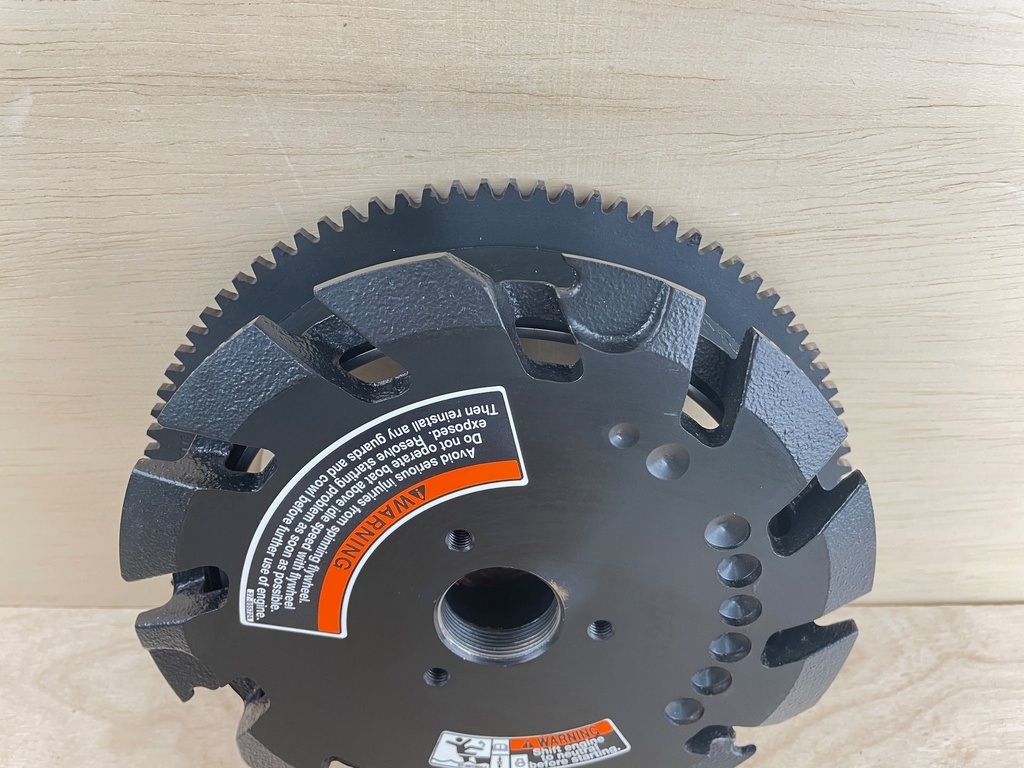 2000 Mercury 200HP Outboard Engine 2 Stroke Flywheel Assembly 859238T17 859238T4