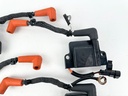 2013 Evinrude 150 HP 2 Stroke Outboard Ignition Coil Set 0586980 OEM