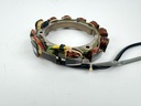 2006 Yamaha 90 HP 2 Stroke Outboard Stator Assembly 6H0-85510-03-00 OEM