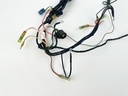 2006 Yamaha 90 HP 2 Stroke Outboard Engine Wire Harness 6H0-82590-80-00 OEM