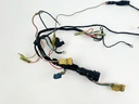 2006 Yamaha 90 HP 2 Stroke Outboard Engine Wire Harness 6H0-82590-80-00 OEM