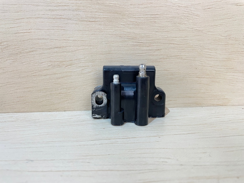 Johnson Evinrude Ignition Coil Assembly Single 586333
