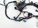 2011 Yamaha 70 HP 4 Stroke Outboard Engine Wire Harness OEM