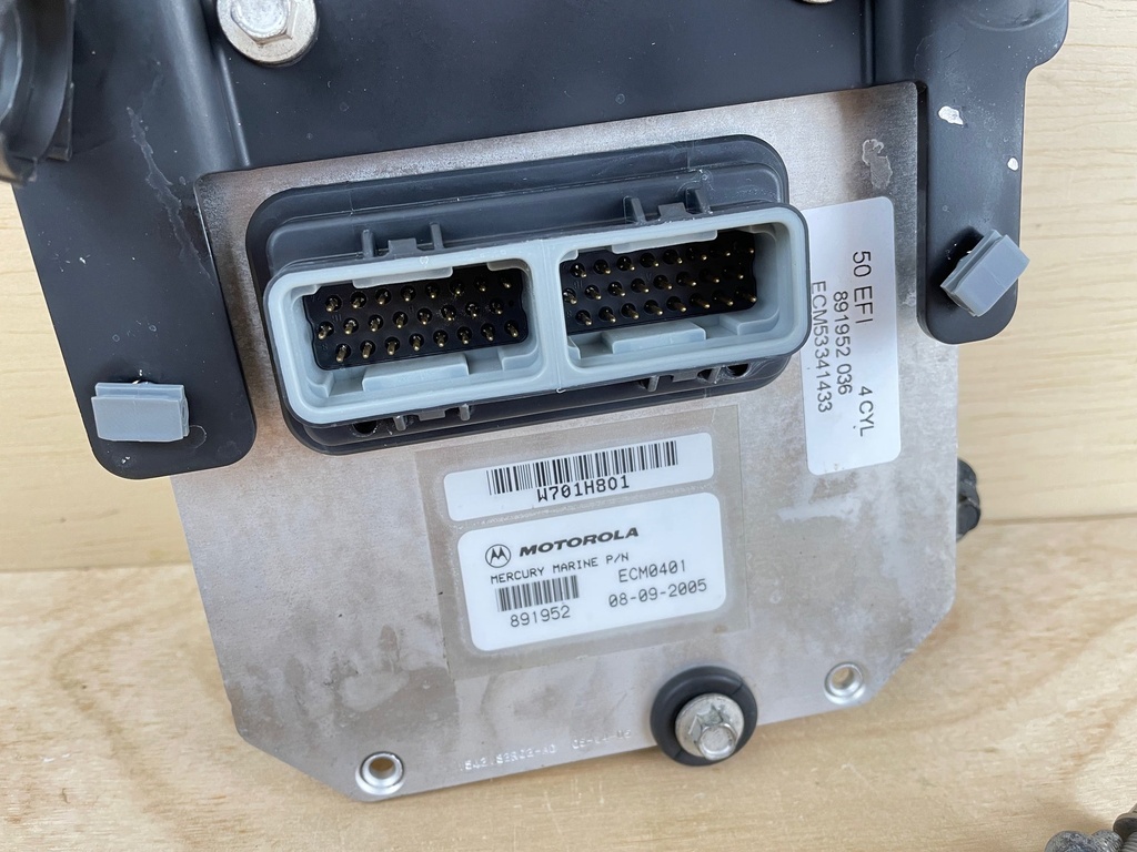 2006 Mercury 50HP 4 Stroke Outboard Engine Control Unit ECU PCM 898369T02