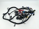 2015 Mercury 115 HP 4 Stroke Outboard Engine Wire Harness 8M0088060 OEM