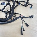 2010 Mercury 40HP 4 Stroke Outboard Engine Wire Harness Assembly 8M0044998