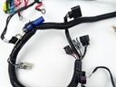 Mercury 135 150 175 200 HP L4 Verado Engine Wire Harness 892579A06