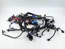 2007 Mercury 135 HP 4 Stroke Outboard Engine Wire Harness 892579A06 OEM