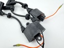 2002 Yamaha 50 HP 4 Stroke Outboard Ignition Coil Set 62Y-85570-00-00 OEM