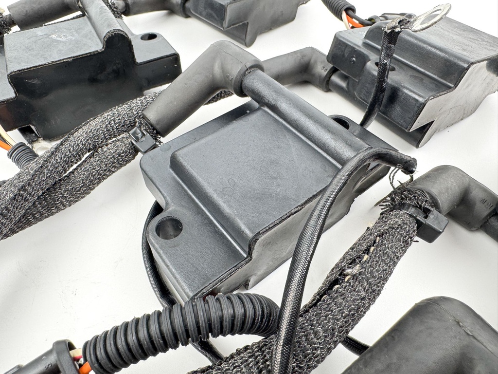 2012 Evinrude 250 HP 2 Stroke Etec Outboard Ignition Coil Set 0586980 OEM