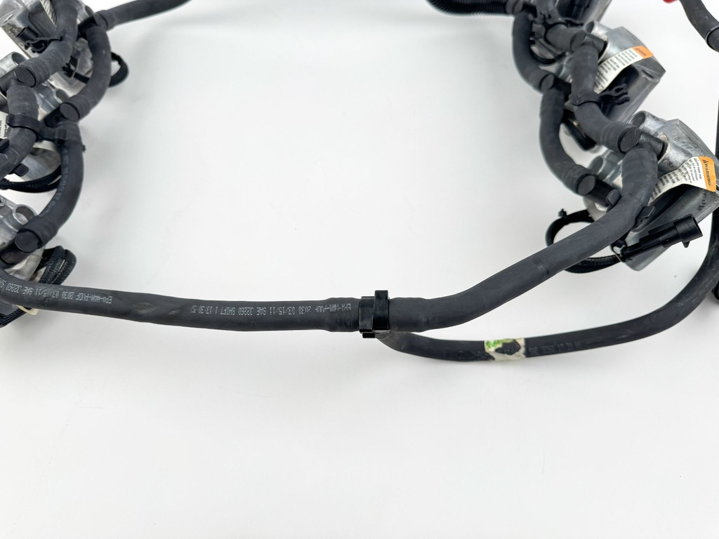 2012 Evinrude 250 HP 2 Stroke Etec Outboard Fuel Injector Set W/ Rail 5007765 OEM