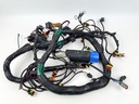 2012 Evinrude 250 HP 2 Stroke Etec Outboard Engine Wire Harness 0587041 OEM