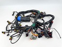 2012 Evinrude 250 HP 2 Stroke Etec Outboard Engine Wire Harness 0587041 OEM