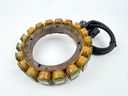 2005 Yamaha 300 HP 2 Stroke Outboard Coil Pulser Base Stator Assembly 60V-85580-00-00 OEM