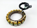 2005 Yamaha 300 HP 2 Stroke Outboard Coil Pulser Base Stator Assembly 60V-85580-00-00 OEM