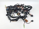 2005 Yamaha 300 HP HPDI 2 Stroke Outboard Engine Wire Harness 60V-82590-51-00 OEM