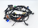 2004 Yamaha 150 HP 4 Stroke Outboard Engine Wire Harness 63P-82590-10-00 OEM