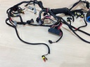 2008 Evinrude Etec 115HP Outboard Engine Wiring Harness Assembly 0586891
