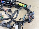 2011 Yamaha 90HP F90 4 Stroke Outboard Engine Wire Harness Assembly 6D8-82590-33-00