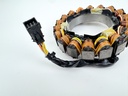 2008 Evinrude 300 HP 2 Stroke Outboard Stator Assembly 0586948 OEM