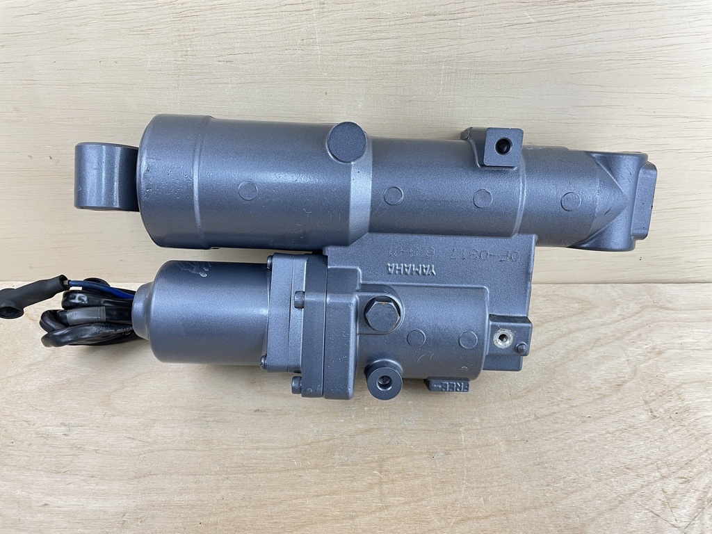 2011 Yamaha 90HP F90 4 Stroke Outboard Power Trim & Tilt Assembly 6D8-43800-12-8D