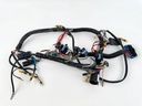 2001 Mercury 150 HP 2 Stroke Outboard Engine Wire Harness 857166T1 OEM