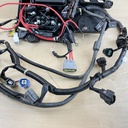 2011 Yamaha 150HP 4 Stroke Outboard Engine Wire Harness Assembly 63P-82590-62-00