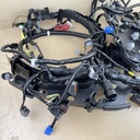 2012 Yamaha 200HP 3.3L 4 Stroke Engine Wire Harness Assembly 6P2-82590-44-00