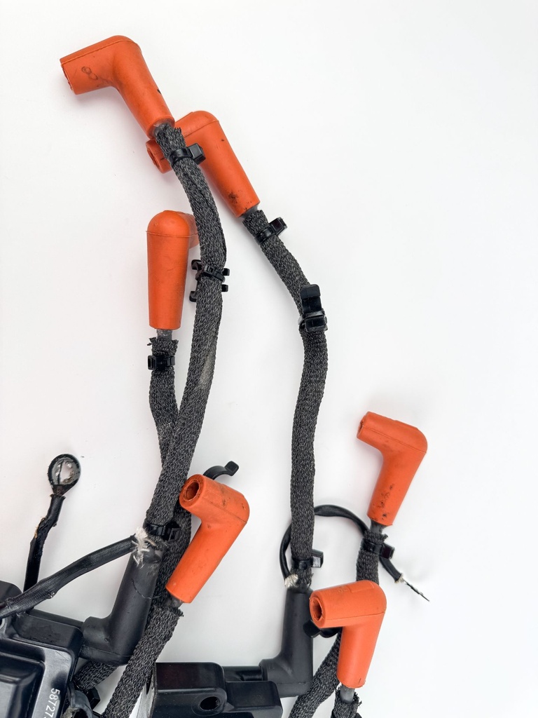 2015 Evinrude 225 HP 2 Stroke Outboard Ignition Coil Set 0586980 OEM