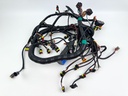 2015 Evinrude 225 HP 2 Stroke Outboard Engine Wire Harness 0587041 OEM