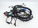 2015 Evinrude 225 HP 2 Stroke Outboard Engine Wire Harness 0587041 OEM
