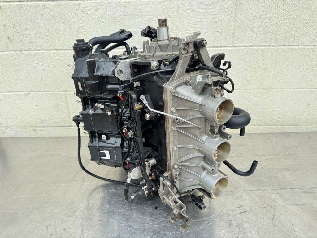 2015 Evinrude 225 HP 2 Stroke Outboard Powerhead 5007977 OEM