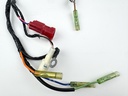 2006 Suzuki 25 HP 4 Stroke Outboard Engine Wire Harness 36610-89JV0 OEM