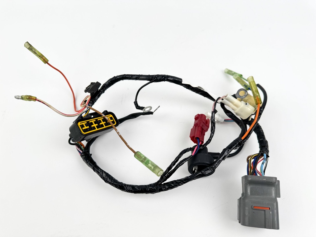 2006 Suzuki 25 HP 4 Stroke Outboard Engine Wire Harness 36610-89JV0 OEM