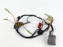 2006 Suzuki 25 HP 4 Stroke Outboard Engine Wire Harness 36610-89JV0 OEM