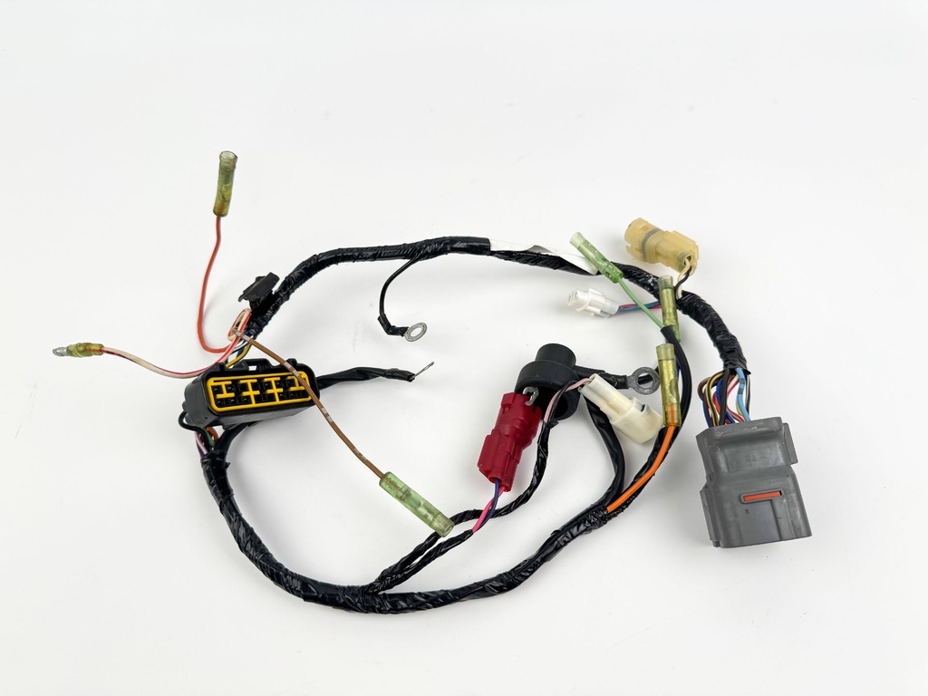 2006 Suzuki 25 HP 4 Stroke Outboard Engine Wire Harness 36610-89JV0 OEM