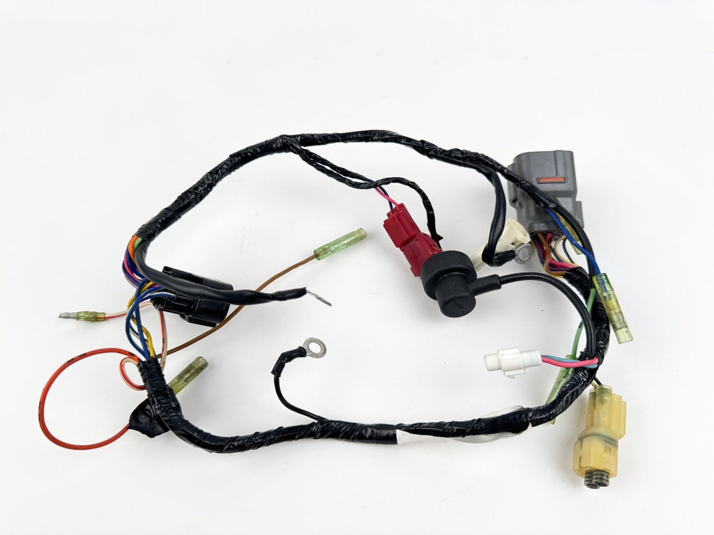 2006 Suzuki 25 HP 4 Stroke Outboard Engine Wire Harness 36610-89JV0 OEM