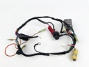 2006 Suzuki 25 HP 4 Stroke Outboard Engine Wire Harness 36610-89JV0 OEM