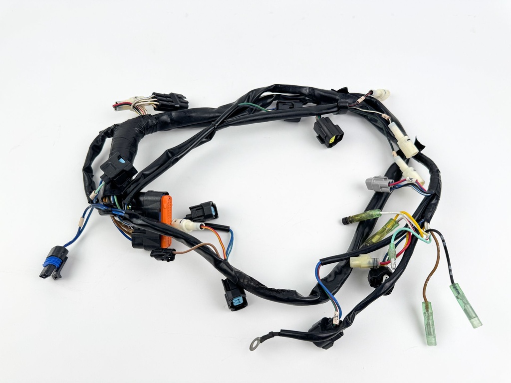 2006 Mercury 25 HP 4 Stroke Outboard Engine Wire Harness 898101T52 OEM