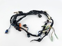 2006 Mercury 25 HP 4 Stroke Outboard Engine Wire Harness 898101T52 OEM