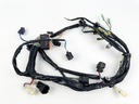 2006 Mercury 25 HP 4 Stroke Outboard Engine Wire Harness 898101T52 OEM
