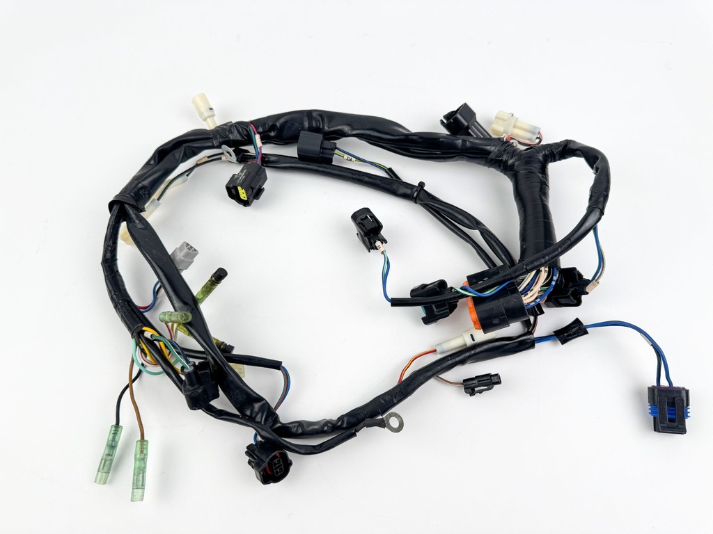 2006 Mercury 25 HP 4 Stroke Outboard Engine Wire Harness 898101T52 OEM