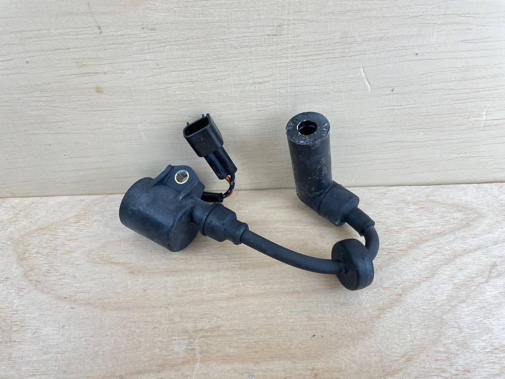 2004 Yamaha 40HP F40 4 Stroke Outboard Ignition Coil & Wire 67C-85570-00-00