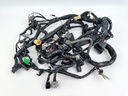 2006 Yamaha 250 HP 4 Stroke Outboard Engine Wire Harness 6P2-8259M-00-00 OEM