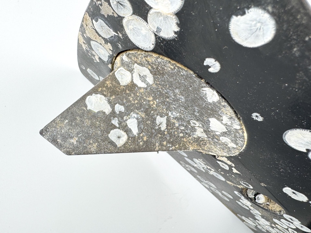 2001-2006 Mercury 40 50 60 HP 4 Stroke 20" Lower Unit Gear Case 9011G90 2.33:1