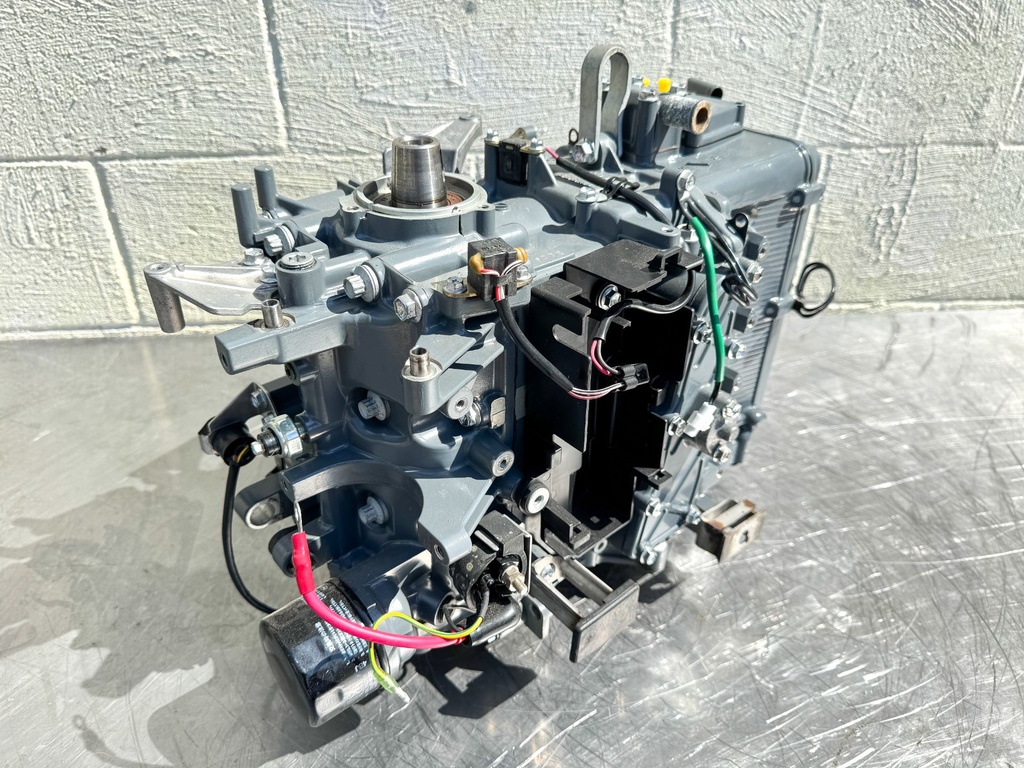 2006 Suzuki 25 HP 4 Stroke Outboard Powerhead  OEM