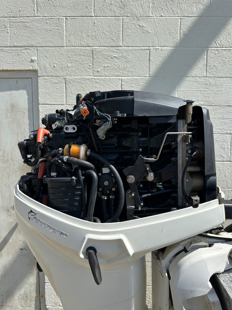 2006 Evinrude 90 HP 2 Stroke Outboard Engine Complete E90DSLSDR OEM